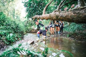 BIB: 
                            <button type="button" onclick="openModal(25515695)" class="btn btn-primary btn-sm float-right btn-popup" data-toggle="modal" data-target=".modal-high-quality">
                        <i class="fas fa-shopping-cart"></i> Add to Cart
                    </button>
                                            <button type="button" onclick="isThisMe(25515695, true)" class="btn btn-success btn-sm float-right btn-popup btn-isme hidden" data-toggle="tooltip" data-placement="bottom" title="นี่คือรูปของคุณใช่ไหม คลิกที่นี่เพื่อเอาเข้าอัลบั้ม">
                        <i class="fas fa-plus"></i> Add to album
                    </button>
                    <button type="button" onclick="isThisMe(25515695, false)" class="btn btn-warning btn-sm float-right btn-popup btn-isnotme hidden">
                        <i class="fas fa-ban"></i> Remove from album
                    </button>